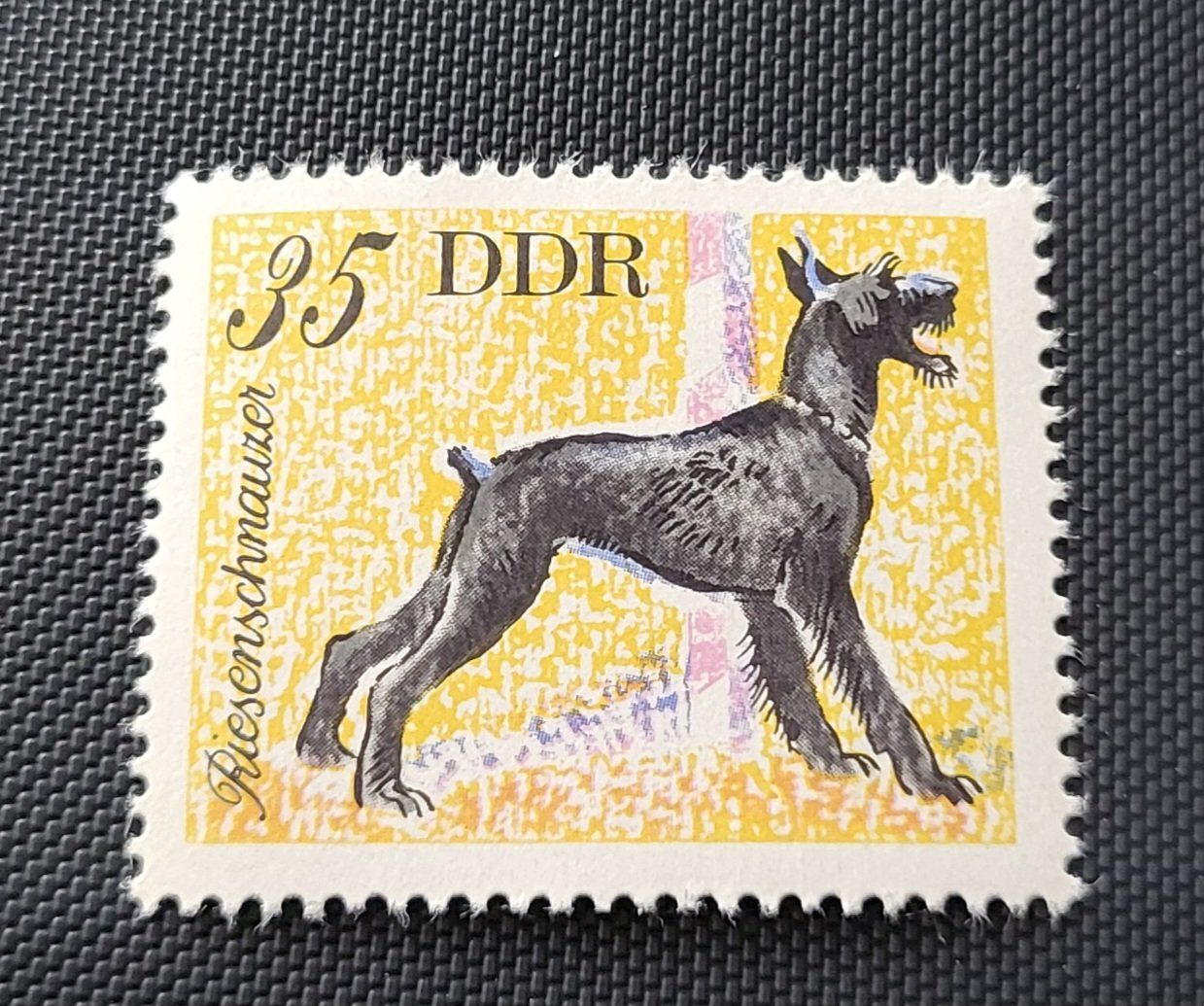 Tutti i francobolli: DDR 1976 briefmarke – Usato da St Gallen venduto da Stampsalshobby