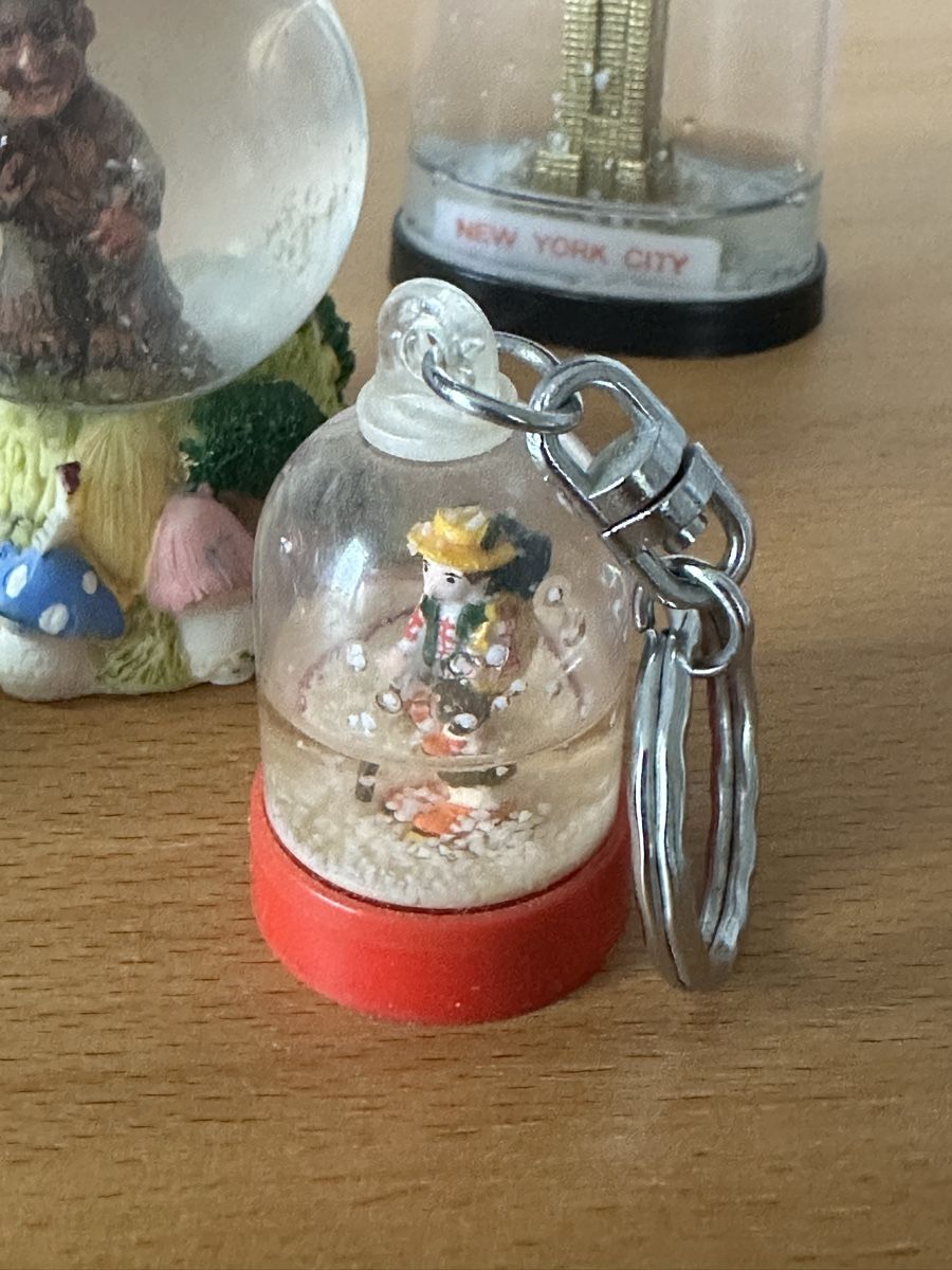 Tutte le decorazioni: Diverse Schneekugeln – Usato da Langnau aA venduto da Camelia14 7