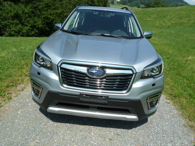 Subaru Autos: Subaru Forester e Boxer – D'occasion à Ennetmoos par bedi60