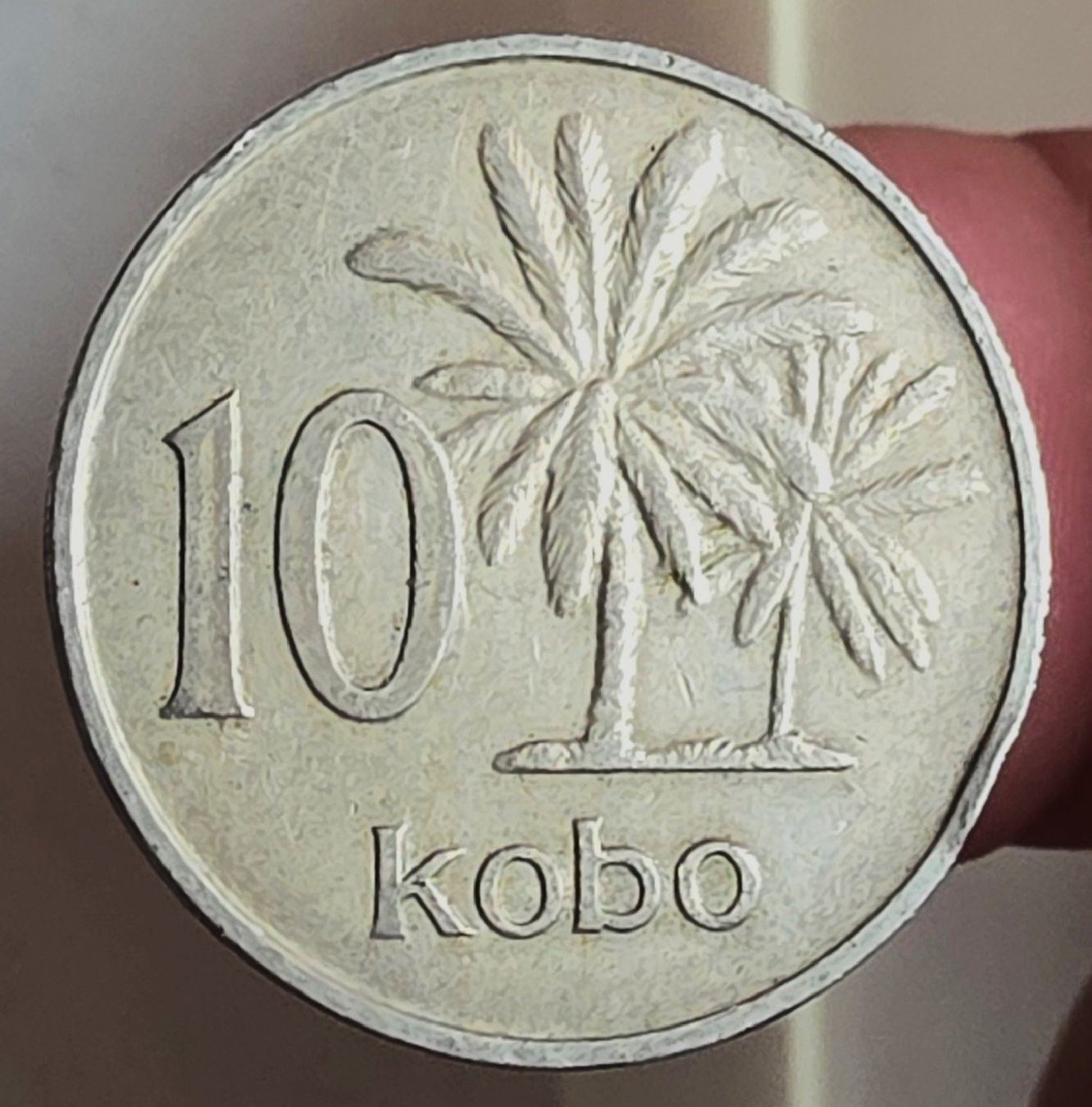 Tutti le monete: NIGERIA 10 KOBO 1973 – Usato da winterthur venduto da CoinPassion