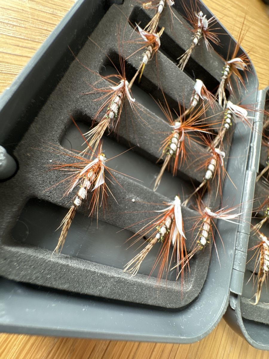 Esche: Trochenfliegen zum Fliegenfischen – Nuovo (secondo la descrizione) da Dübendorf venduto da FlyfishShop 1