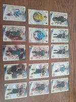 Machester City 15 Spieler auch paar Doppelt! 