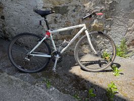 Specialized Rockhopper V-Brake 26 Zoll Hardtail MTB Velo ...
