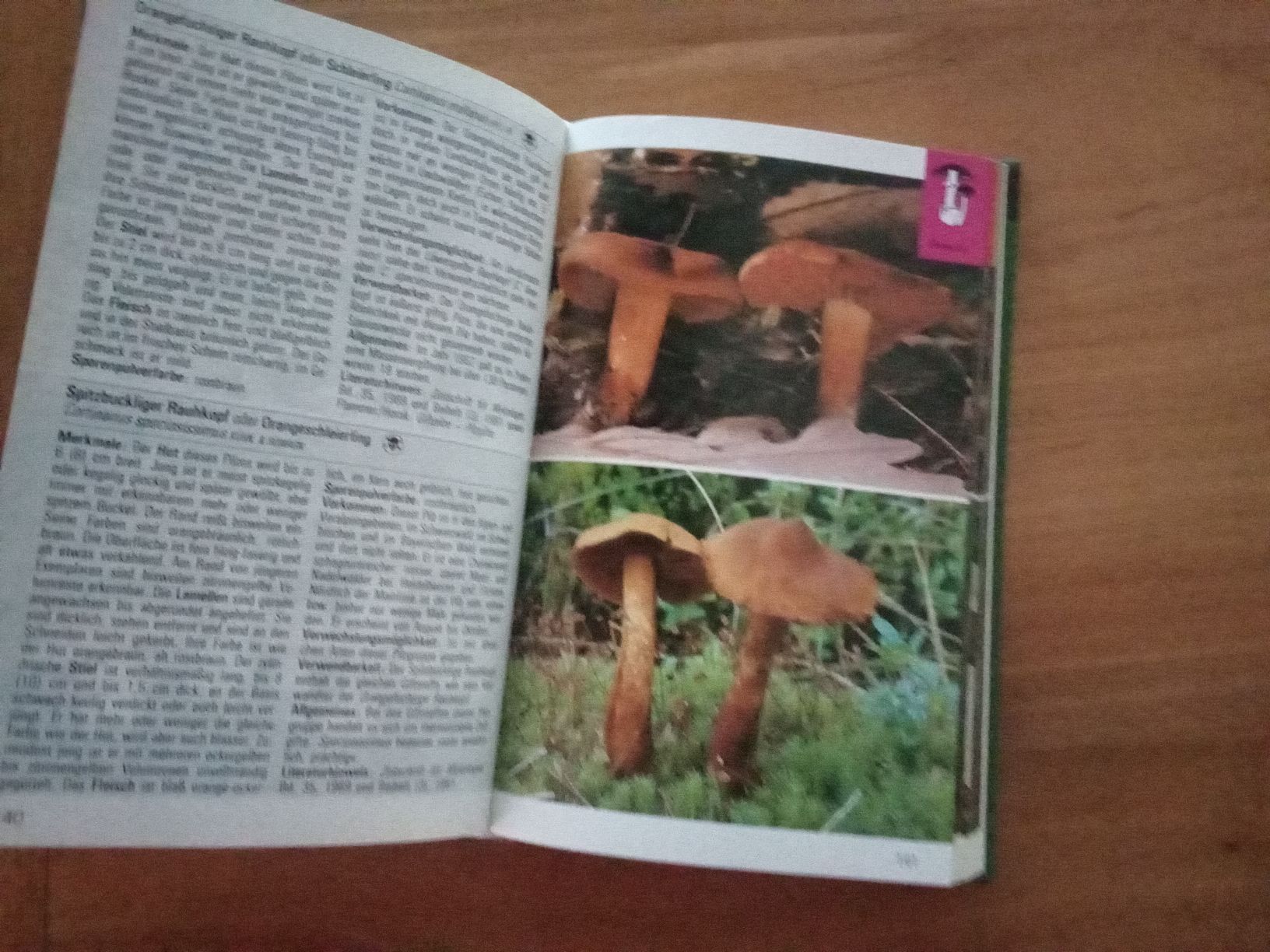 Bücher: PILZ -BUCH – Gebraucht aus Muri BE von Alk 4