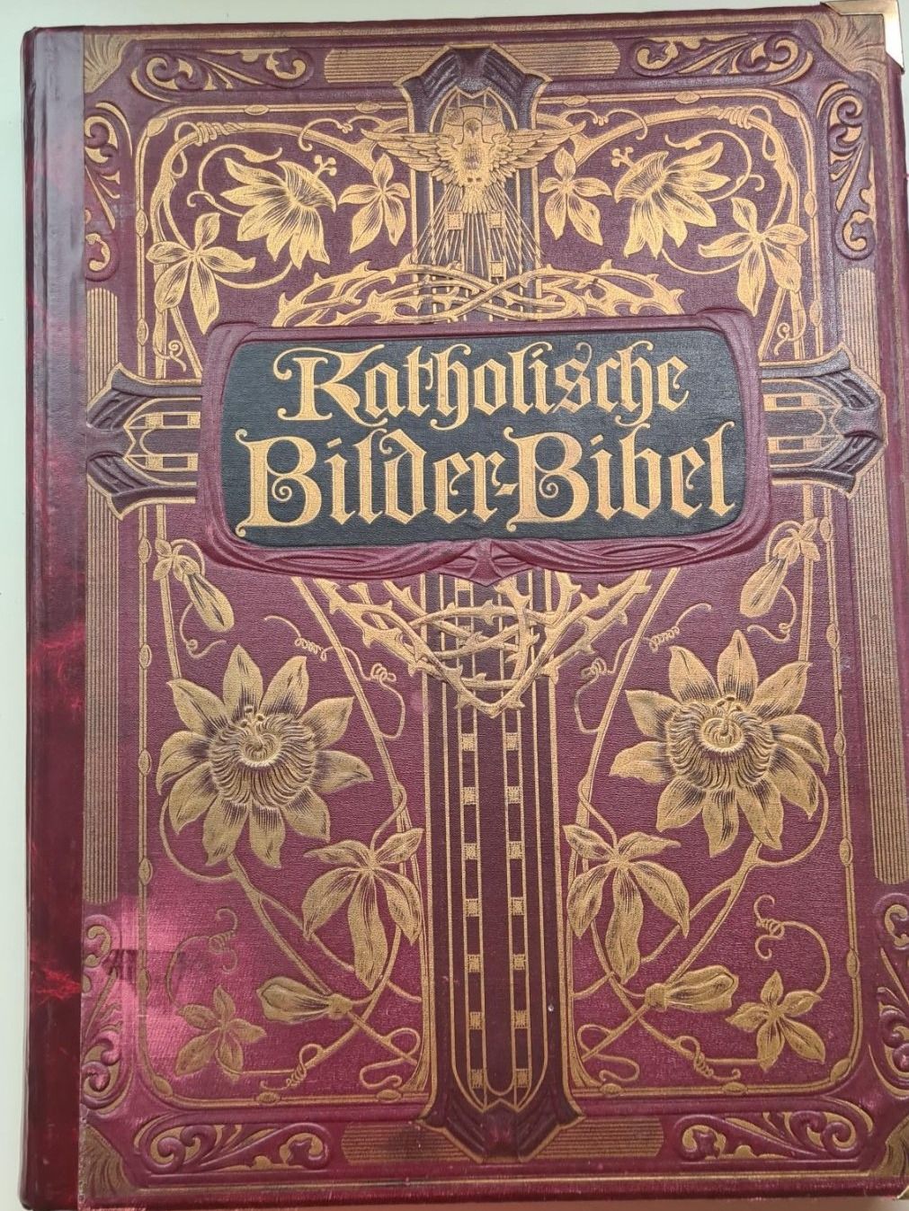 Bücher: Orginal Bilder Bibel Katholisch 1909 / 236 Illustrationen – Gebraucht aus Urdorf von sumrum