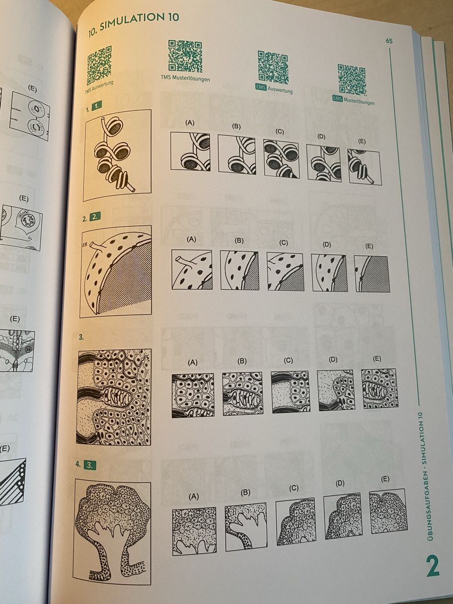Libri: TMS/EMS Muster zuordnen Übungsbuch – Nuovo (secondo la descrizione) da Jonen venduto da ._Leonie_. 3