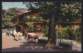 Wilderswil, Ortspartie mit Brunnen und O