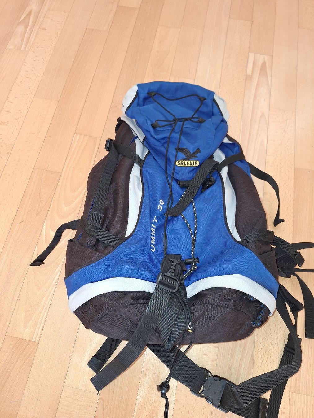 Salewa Rucksäcke: Salewa Summit 30 Wanderrucksack – Gebraucht aus Oberrieden von smarties949 1