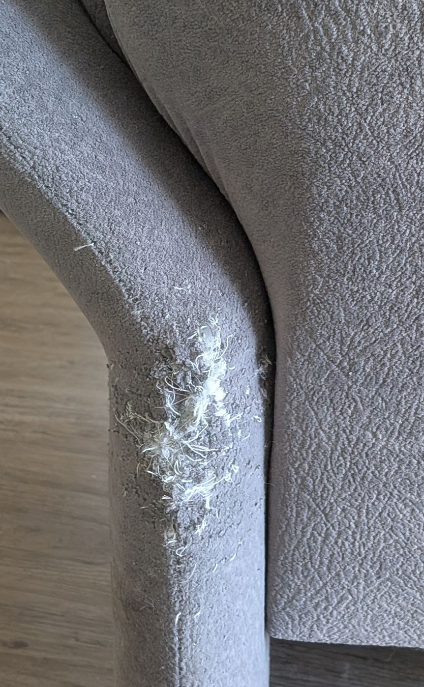 Divani: Sofa-set Grau – Usato da Wald ZH venduto da lej_c7rk 3