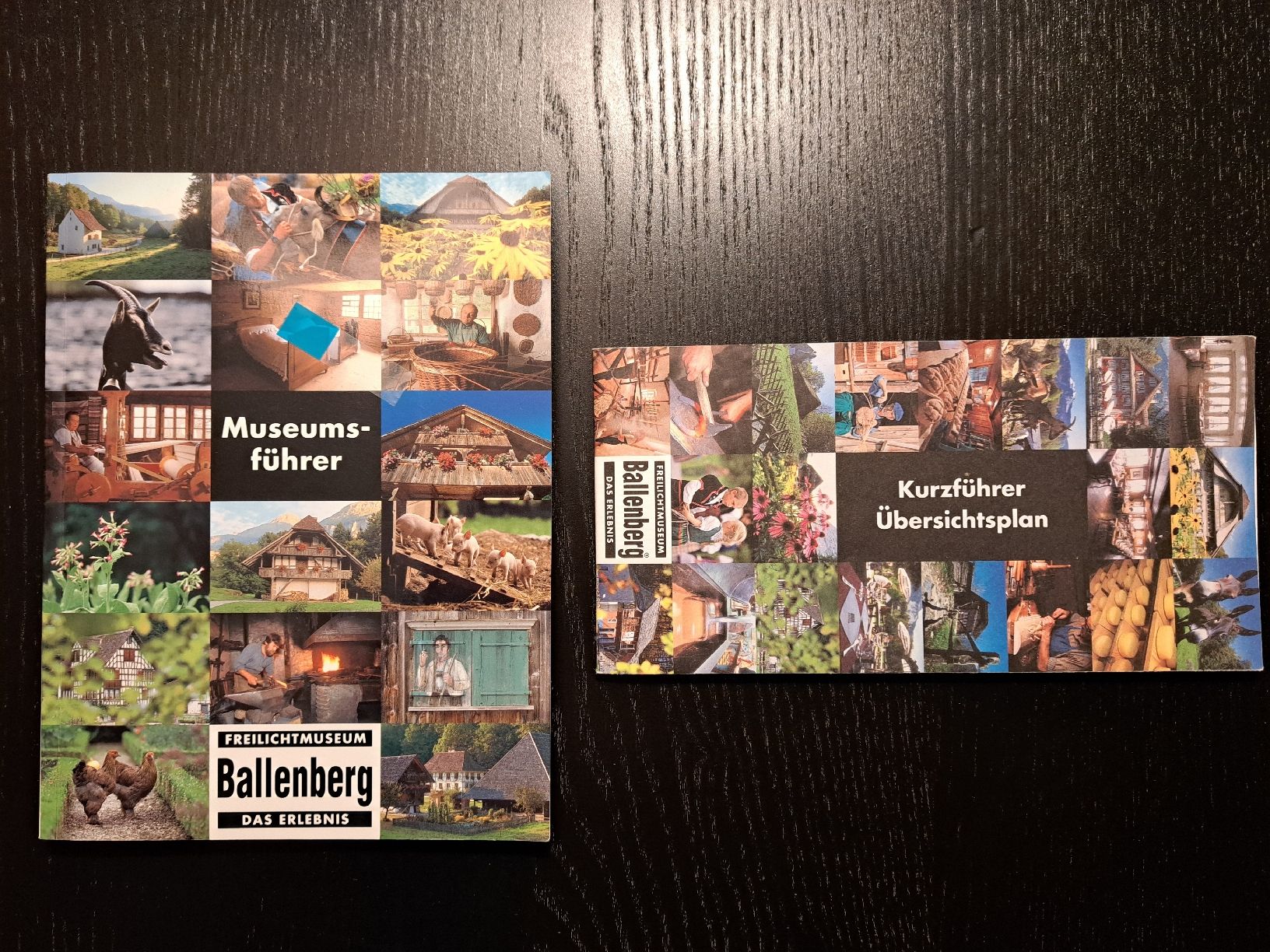 Libri: Museumsführer Ballenberg mit Kurzführer Übersichtsplan – Usato da Ottenbach venduto da Rasenmaeeher