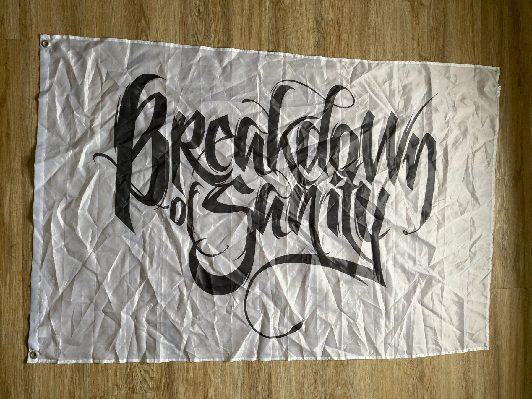 Bandiere: Drapeau Breakdown of Sanity – Usato da Delémont venduto da Nico2800