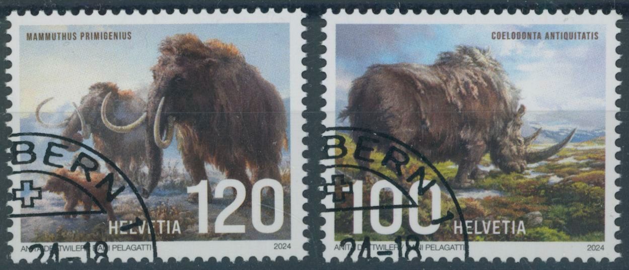 Tutti i francobolli: 2024 - Eiszeit - Ersttag Stempel ET – Usato da Schindellegi venduto da stationary