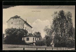 AK Wetzikon, Schloss Wetzikon, 1911