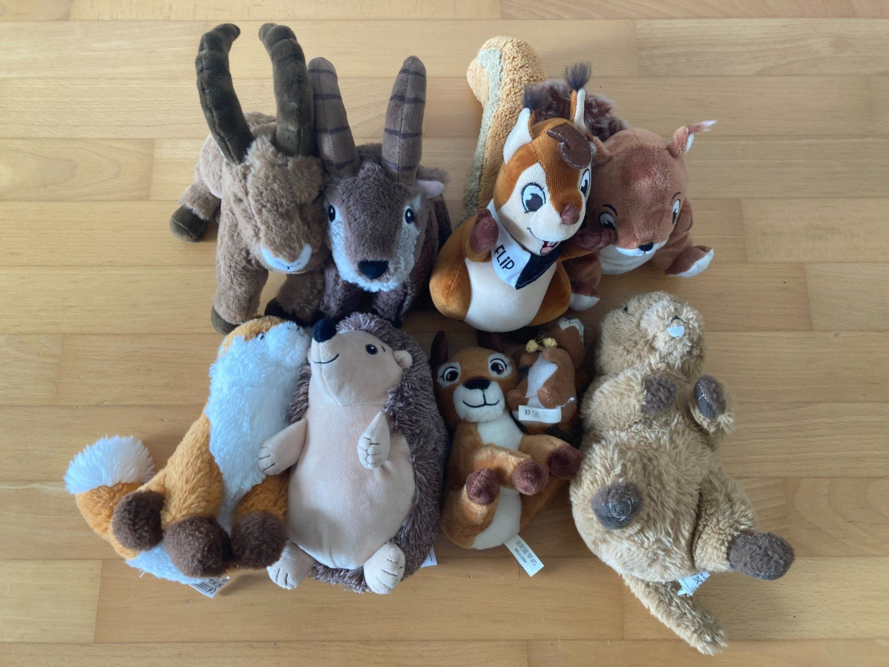 Giocattoli: Waldtiere Plüschtier-Set - 9 Tiere – Usato da Muttenz venduto da Juvenile33 5