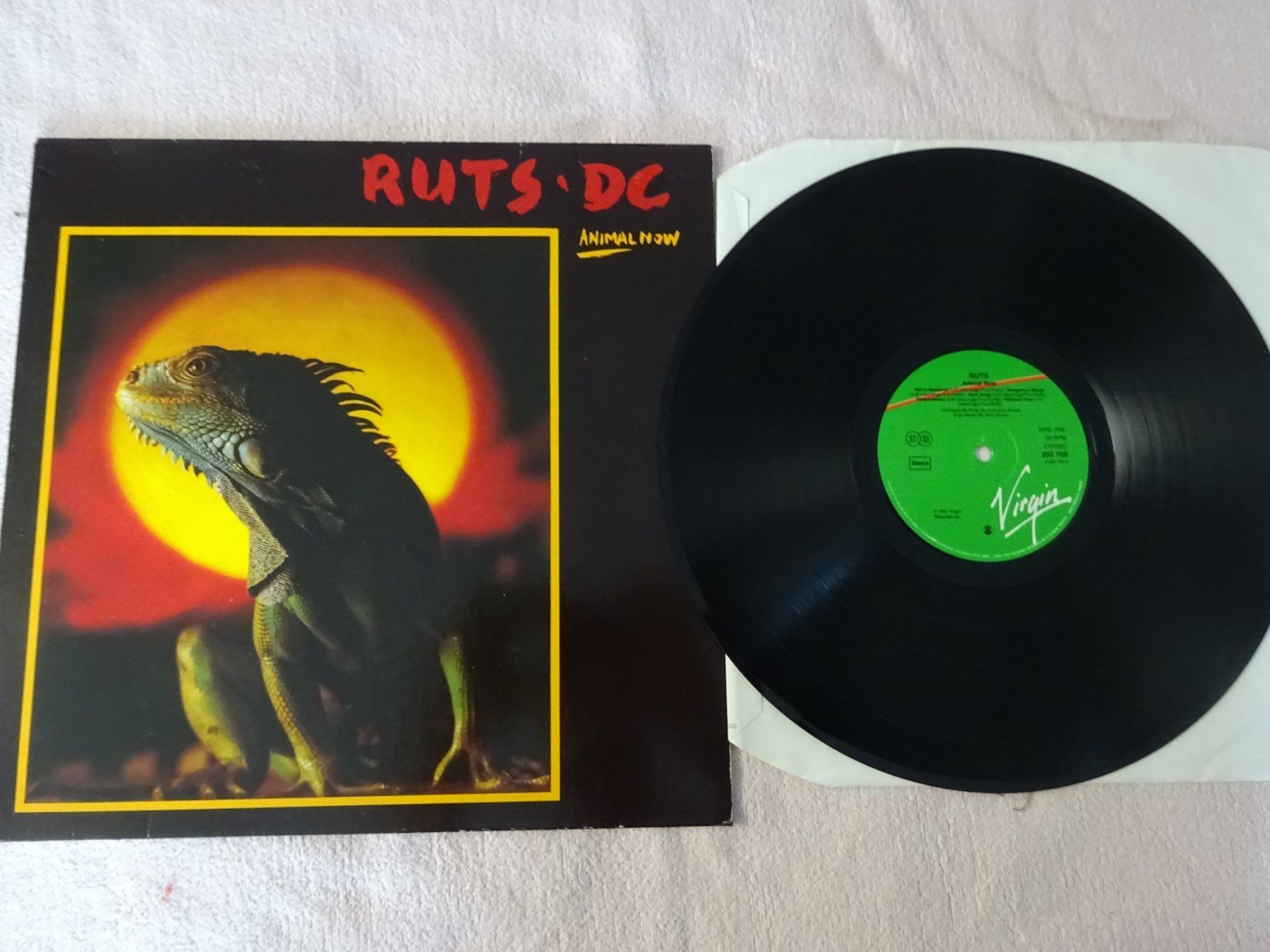 Dischi in vinile: RUTS DC ** EX THE RUTS ** DUB REGGEA – Usato da Luzern venduto da xrayspex99 1