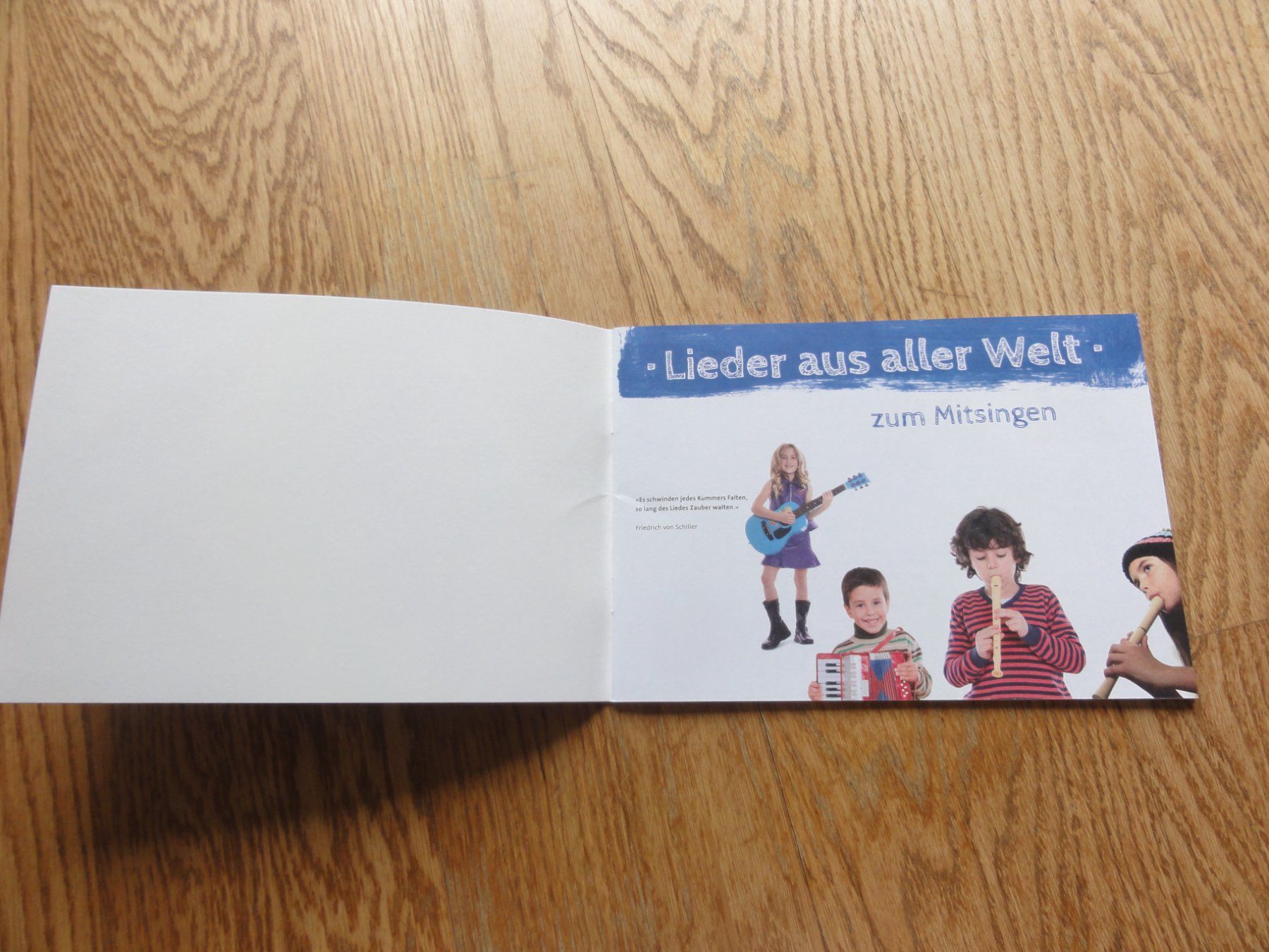 Libri: Lieder aus aller Welt – Nuovo (secondo la descrizione) da Riedholz venduto da Taweva 1