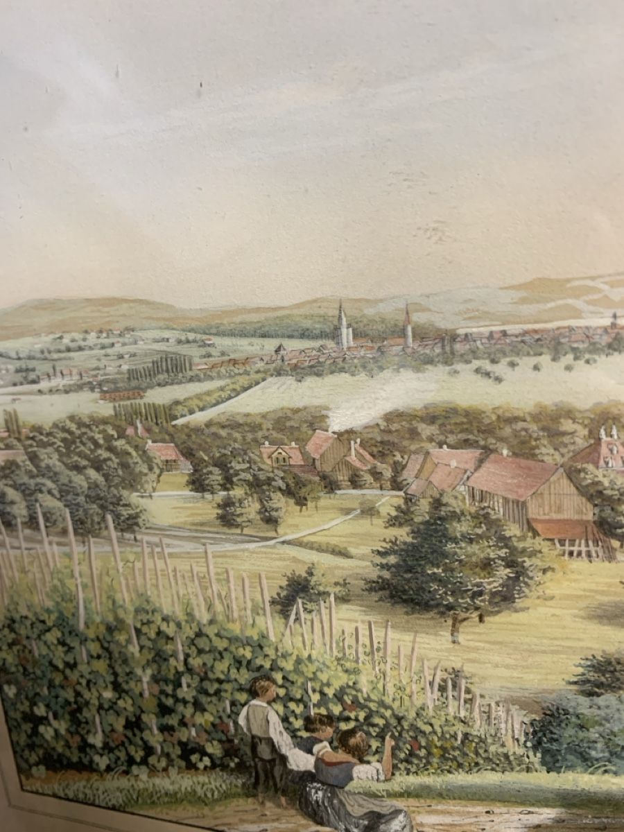 Dipinti: Tägerwilen D. Müller Lehrer Gouache – Usato da Wolfhalden venduto da SecondAntique 5