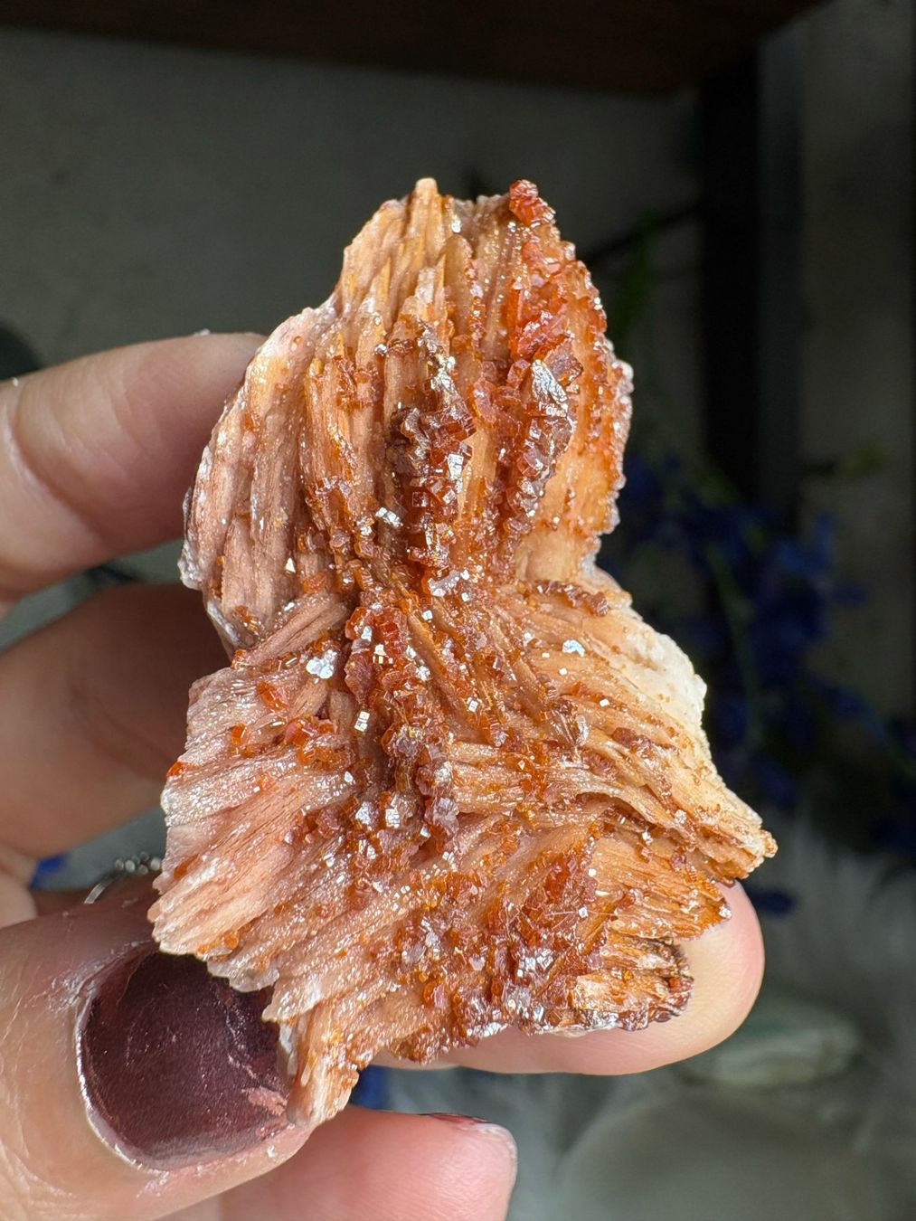 Mineralien & Heilsteine: Vanadinit auf Baryt – Neu (gemäss Beschreibung) aus Neuheim von m.hald 6