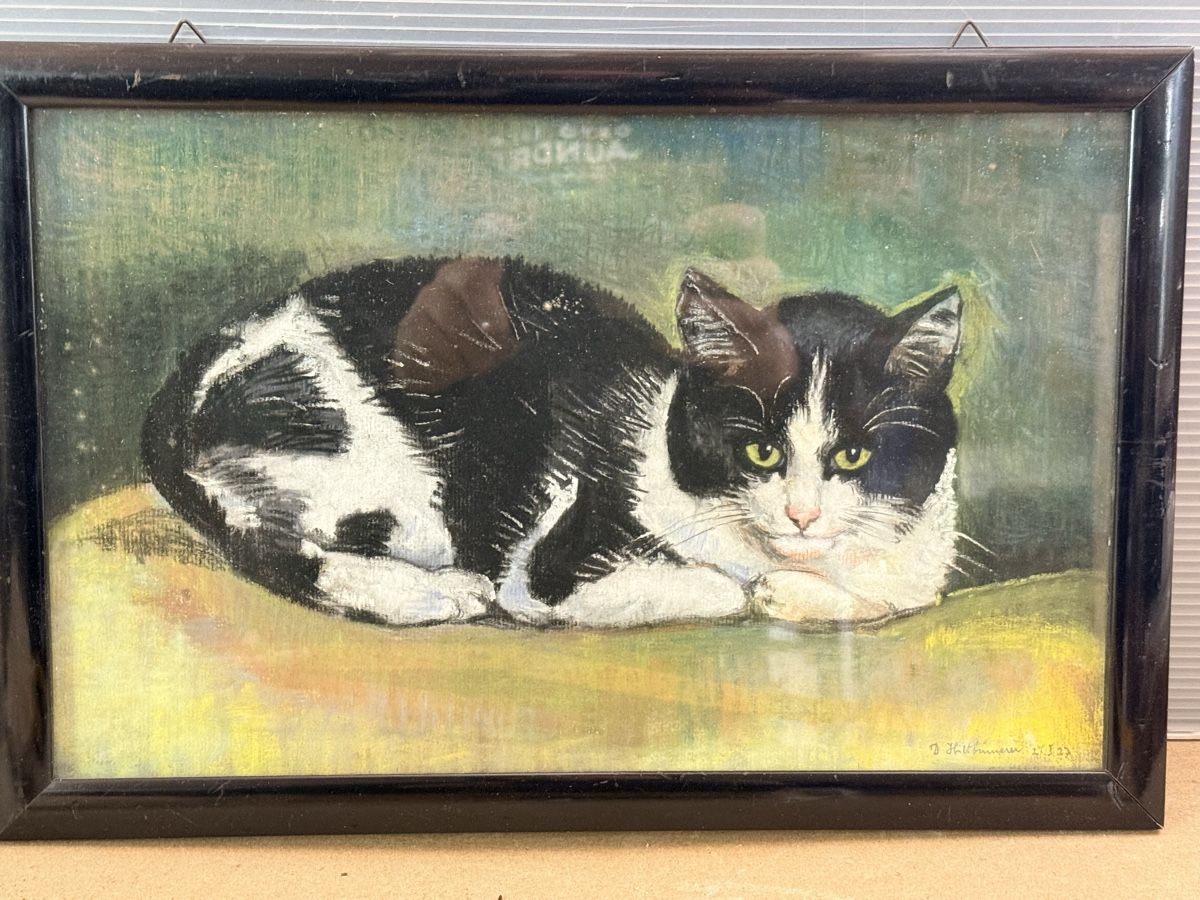 Dipinti: Katze in Ruhe - Gemälde – Usato da Solothurn venduto da NUVICO 2
