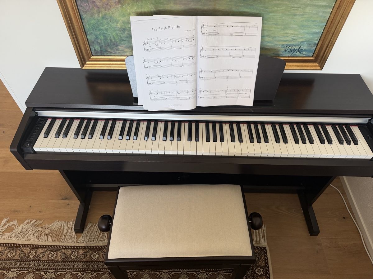Yamaha Strumenti musicali: Yamaha Arius – Usato da Meisterschwanden venduto da mal_m6n2