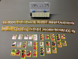 Panini Fifa WM 2026 - Exklusive Sammlung 1300 Stück