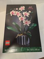 Modellset – Orchidee – ungeöffnet