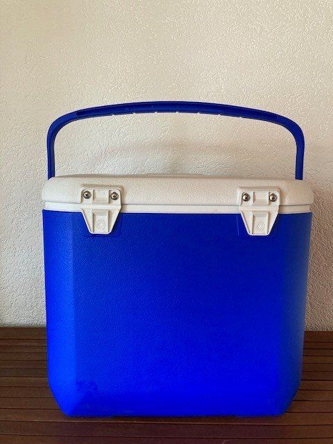 Coleman Frigoriferi & Refrigeratori: Kühlbox Coleman Excursion 26 Liter Camping Picknick – Usato da Weggis venduto da Secondsell 1