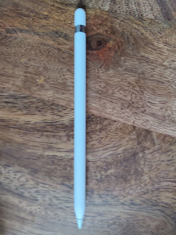 Apple Pencil (1. Generation) | Kaufen auf Ricardo