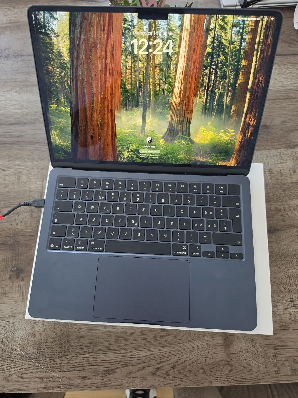 Apple Notebook: Apple MacBook Air  – Usato da Frick venduto da TCGInfinity 3
