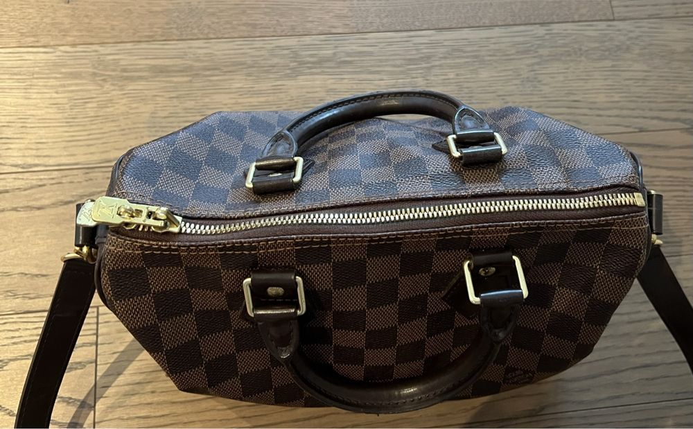 Louis Vuitton Speedy 25 Kaufen auf Ricardo