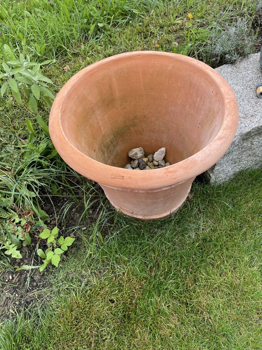 Vasi per fiori: Terracotta Topf – Nuovo (secondo la descrizione) da Bottighofen venduto da Mattafone