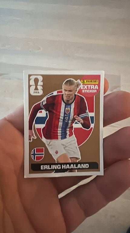 Panini Carte collezionabili: Panini Extra sticker – Usato da Luzern venduto da LU131000