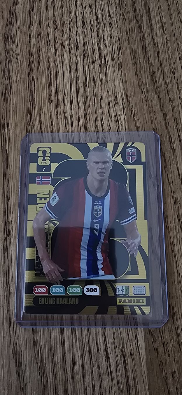 Panini Carte collezionabili: Adrenalyn Xl – Nuovo (secondo la descrizione) da Ostermundigen venduto da hansuelipeterli