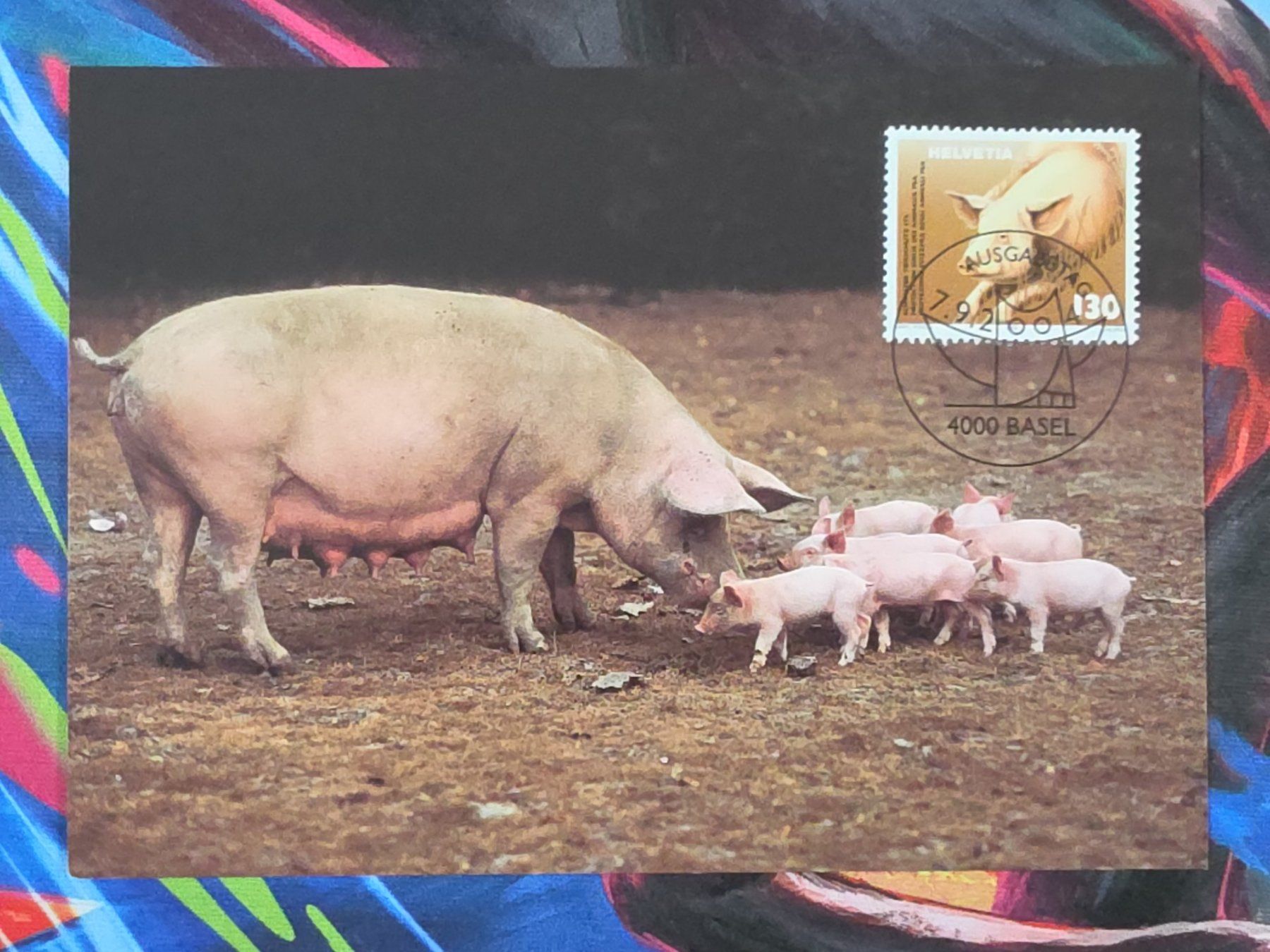 Cartoline postali: CL26 3x Carte Postale + Timbre Suisse 2004 – Usato da Cousset venduto da Patrick_Collections 1