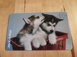 Geschenkkarte (leer) Media Markt Hunde