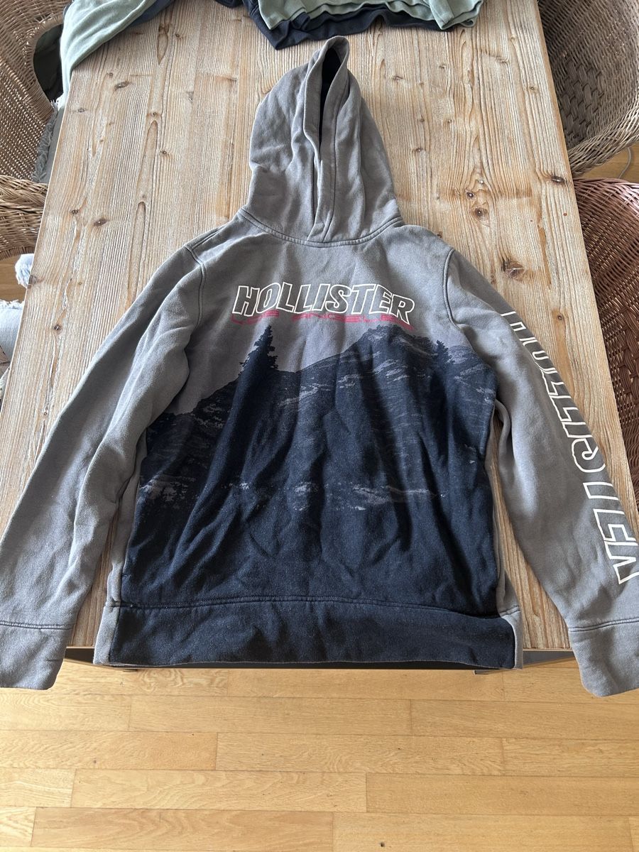 Hollister Maglioni & Felpe: Hollister Hoodie – Usato da Rotkreuz venduto da User_not_found