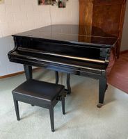 Kleinflügel Erard (Schimmel)