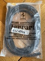 Heckfenster Gummidichtung zu Ferrari 308 GT/4
