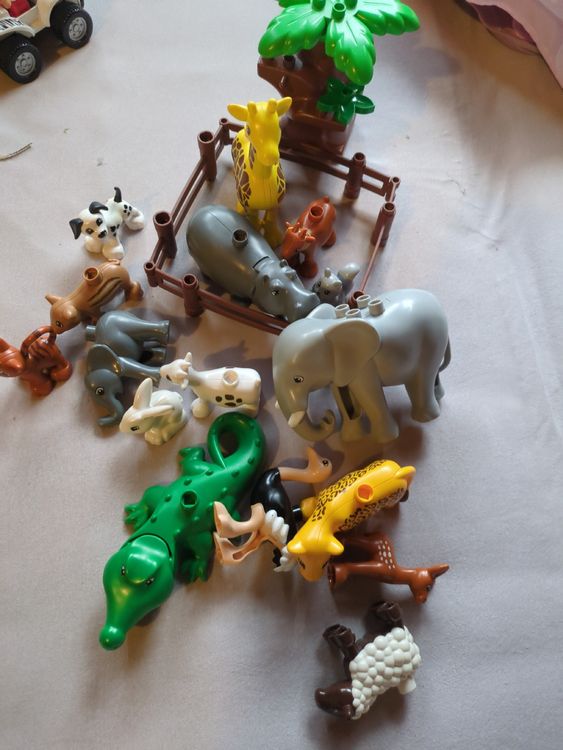 Duplo Jouets: 7 kg Duplo Lego  – D'occasion à Zürich par Brushie18