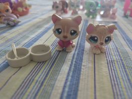 littlest pet shop huskies 