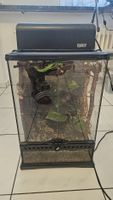 Exo Terra Terrarium 30x30x47 mit Lampe