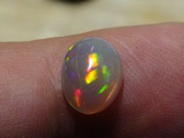 Welo Opale Cabochon 1.46 karat Top Volle Feuer AAA