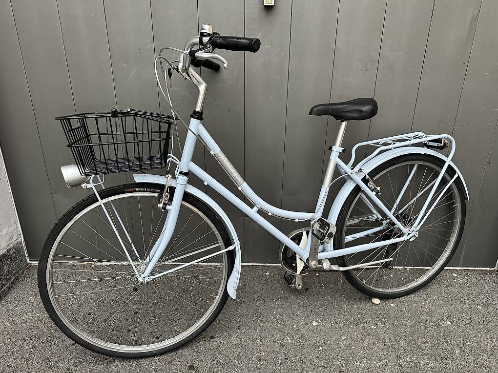 Biciclette: Bicicletta da donna Vintage 28  – Usato da Quartino venduto da DiloUsato 1