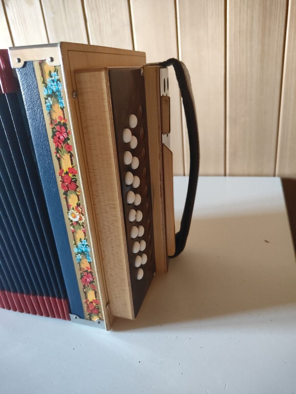 Ott Oergeli Strumenti musicali: Schwyzerörgeli Ott mit Koffer und Rucksack – Usato da Schönenberg ZH venduto da swiss_mountains 3