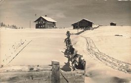 Arosa