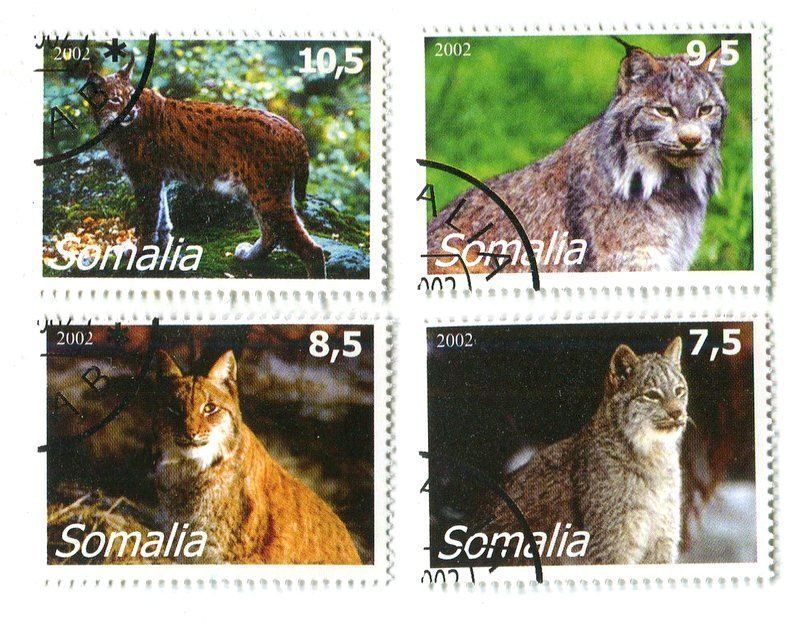 Tutti i francobolli: Briefmarken "Luchs". Somalia – Nuovo e nell'imballaggio originale da Basel venduto da Butsch5