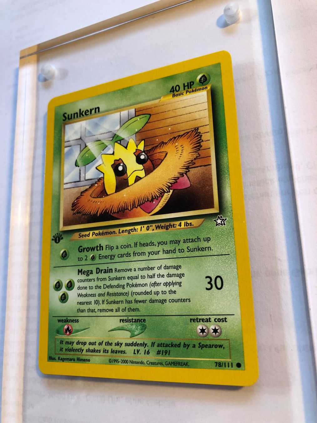 Sammelbilder & Trading cards: Sunkern 1st Neo Genesis - NM - ab 1.- – Gebraucht aus Giubiasco von dan_pr8b 2