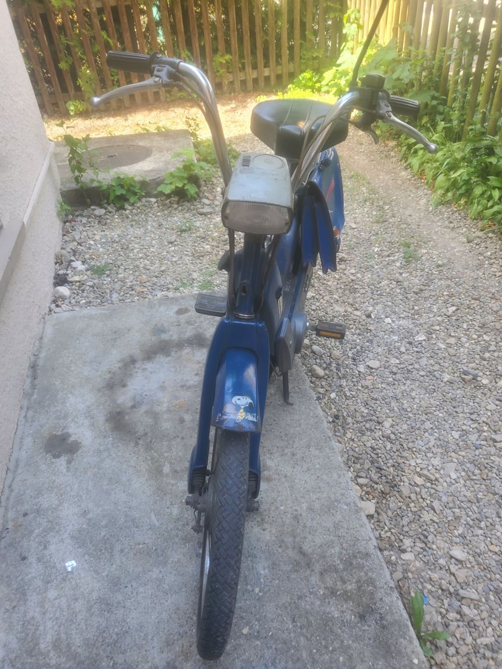 Piaggio Cyclomoteurs: Mofa Piaggio Ciao – D'occasion à Balsthal par redcarpet 7
