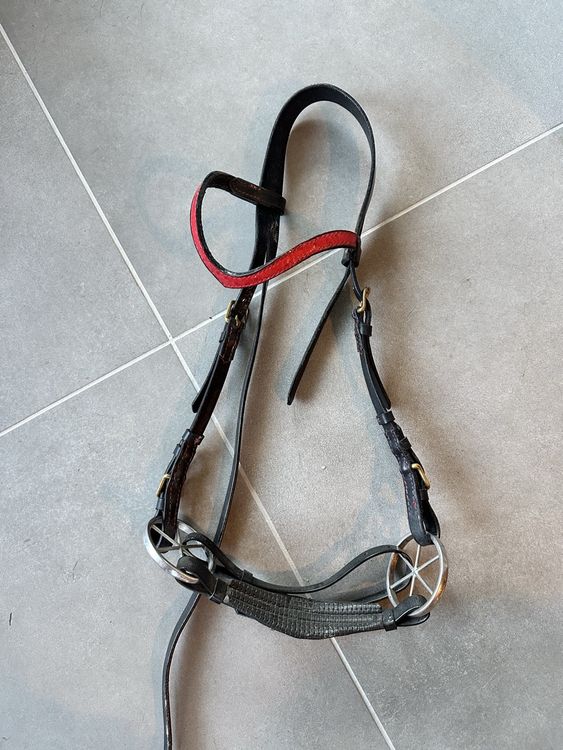 Exion Nova Bride Hackamore pour chevaux
