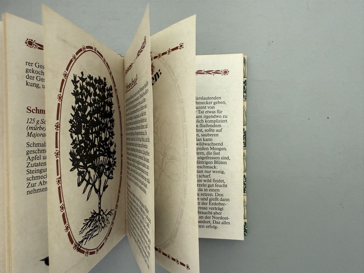 Libri: Küchenkräuter Buch, Hobbyköche! – Usato da Birmenstorf AG venduto da Pat_roll. 1